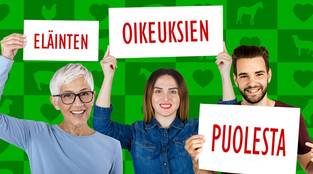 Verkkosivut - mini